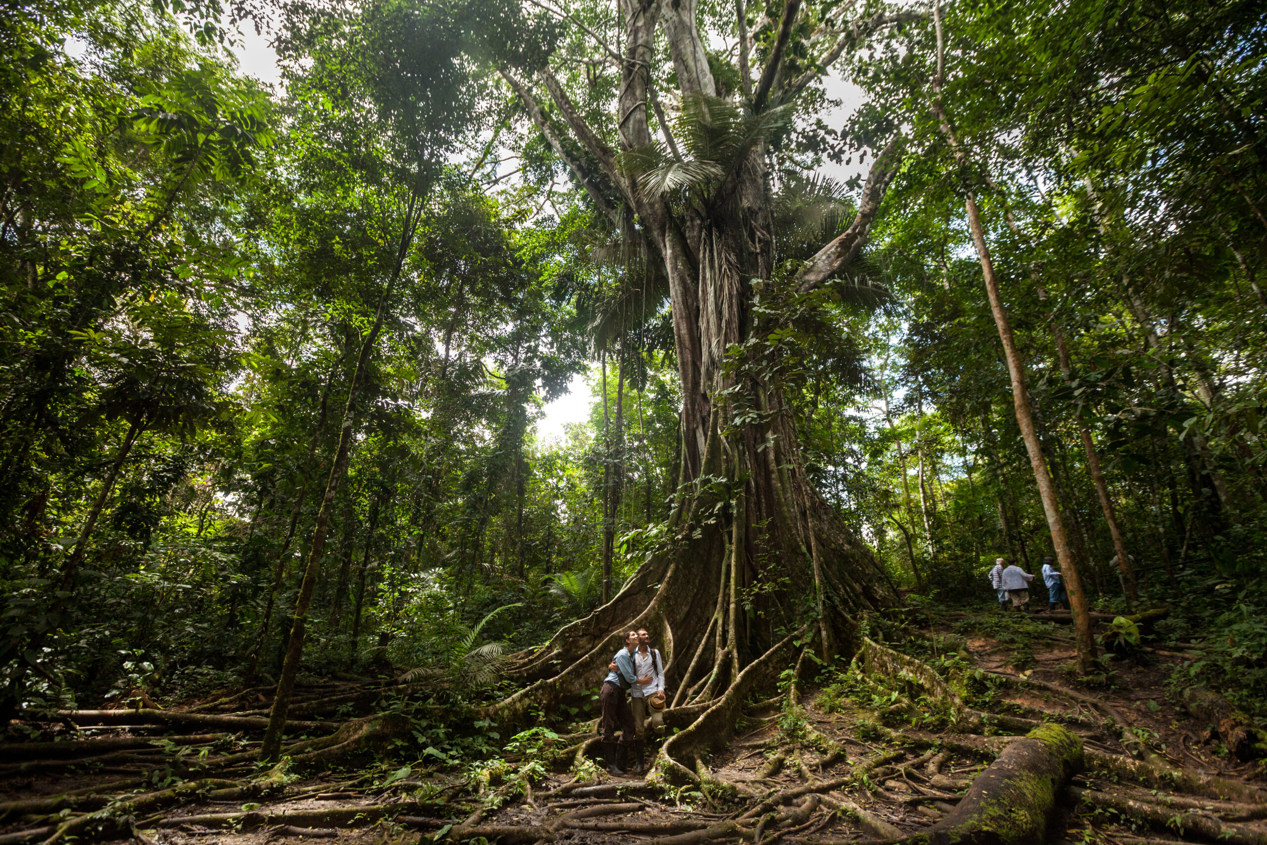2015/04 - Iquitos - Peru - Foto: Rodrigo Rodrich // Delfin Amazon Cruises