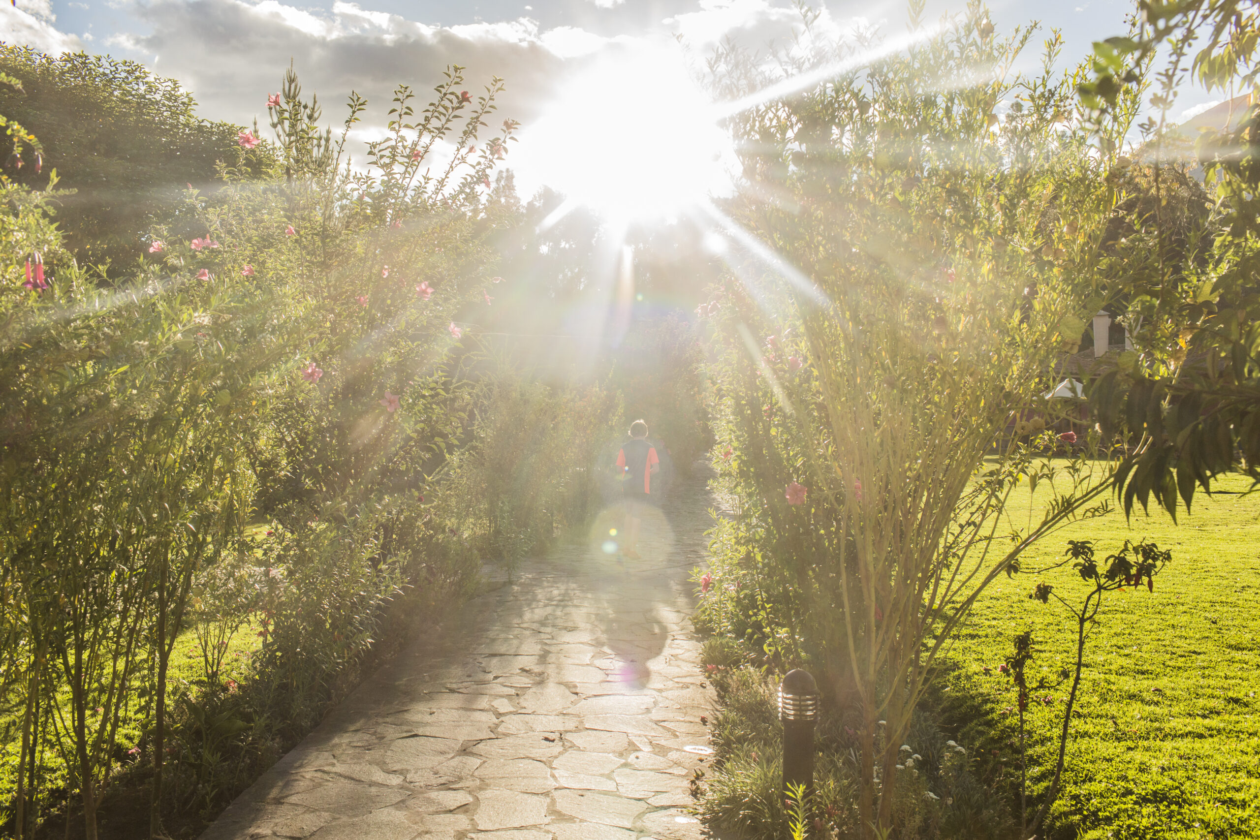 Gardens (6)