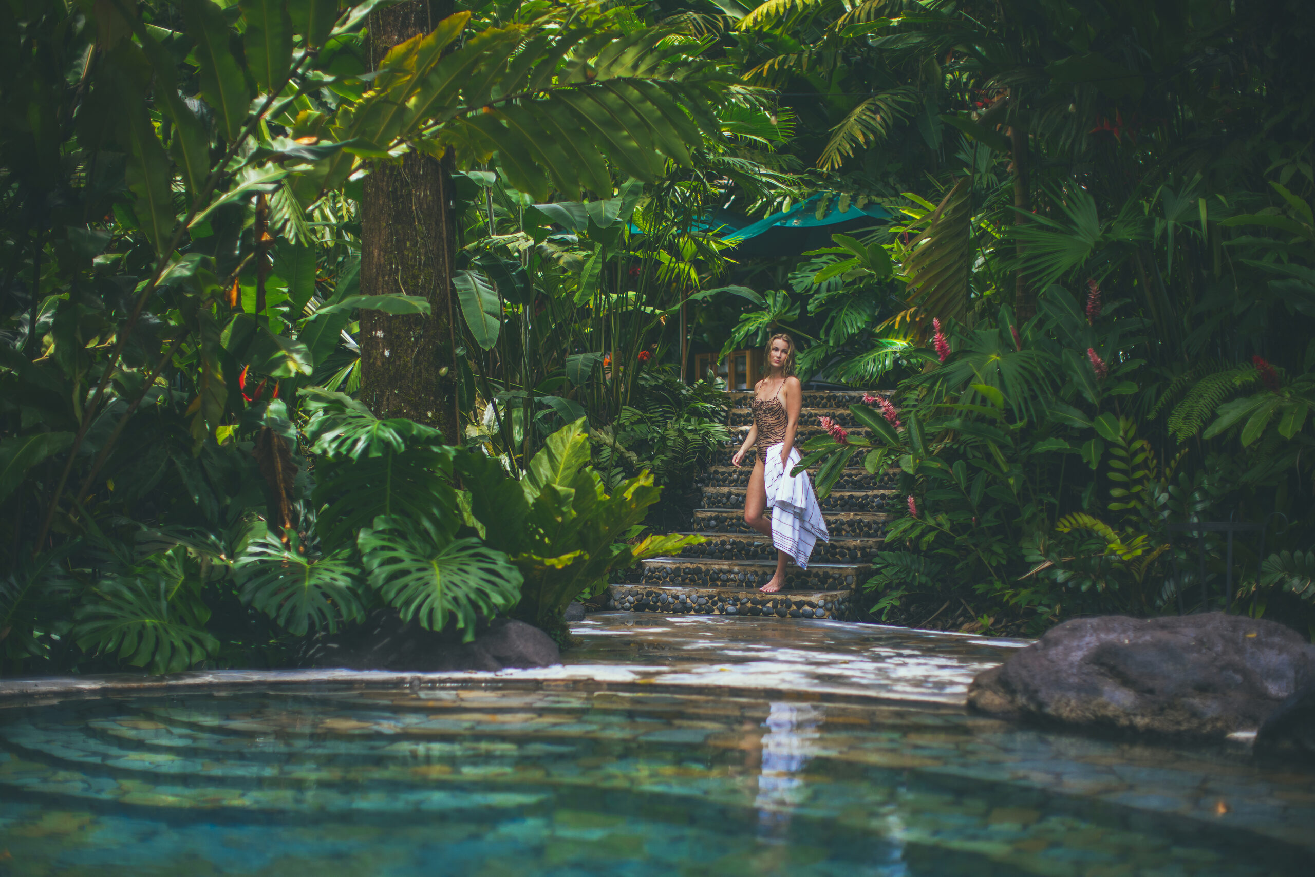 Hot Springs 1