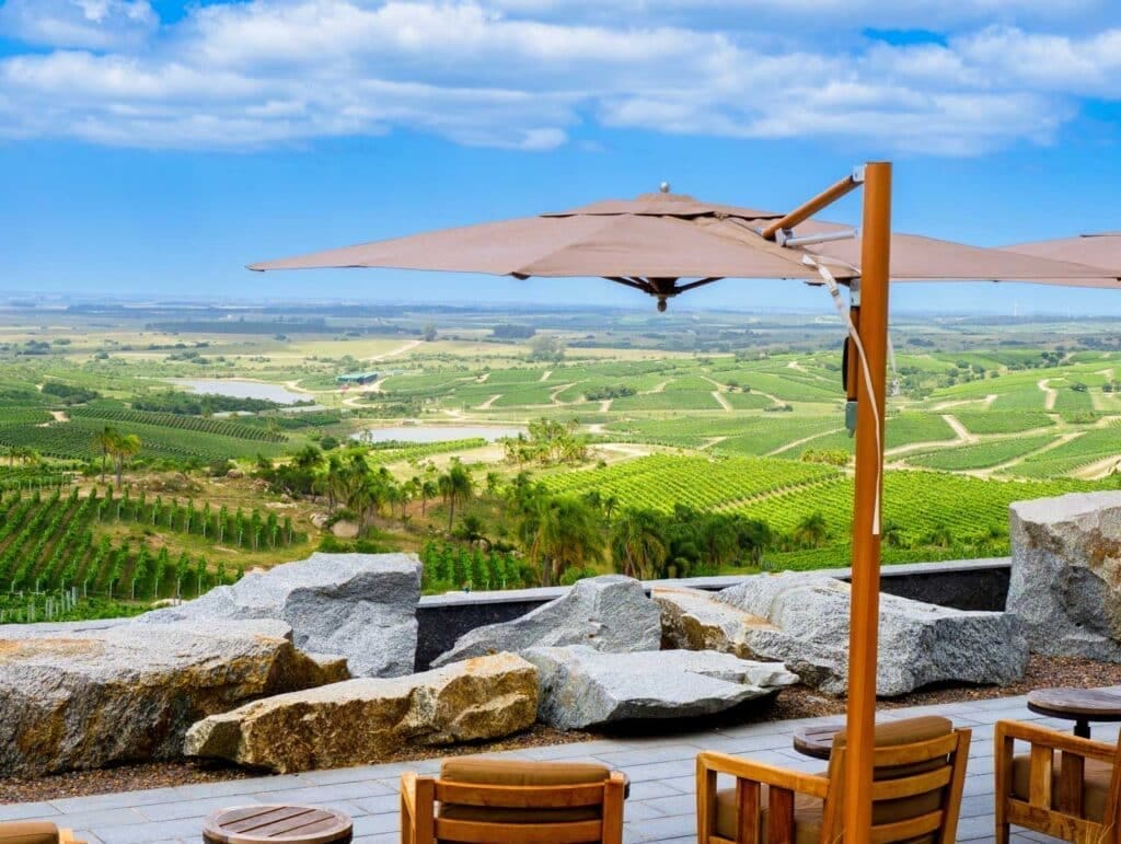 Panoramic-view-of-the-vineyard-from-a-terrace-of-Bodega-Garzon-1024x771