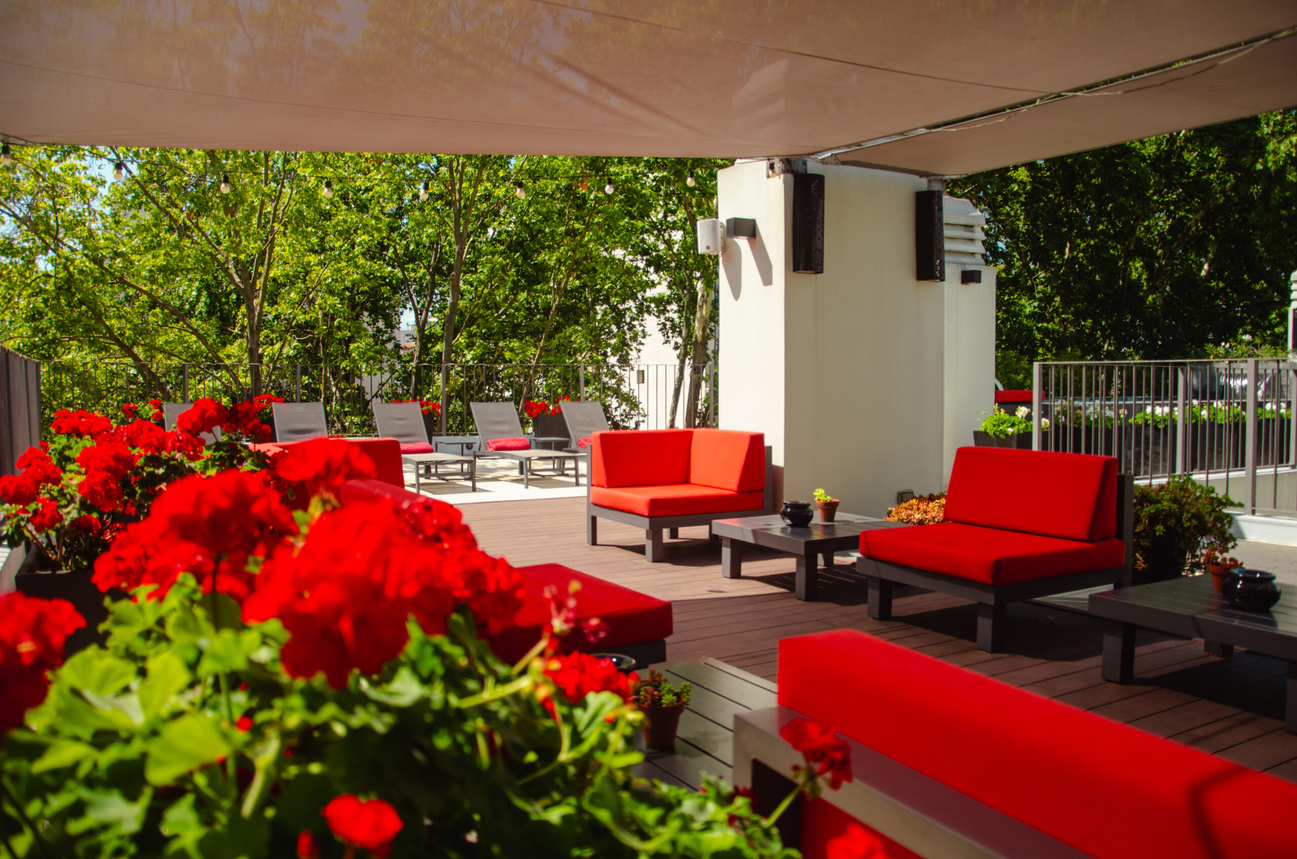 Terraza 2