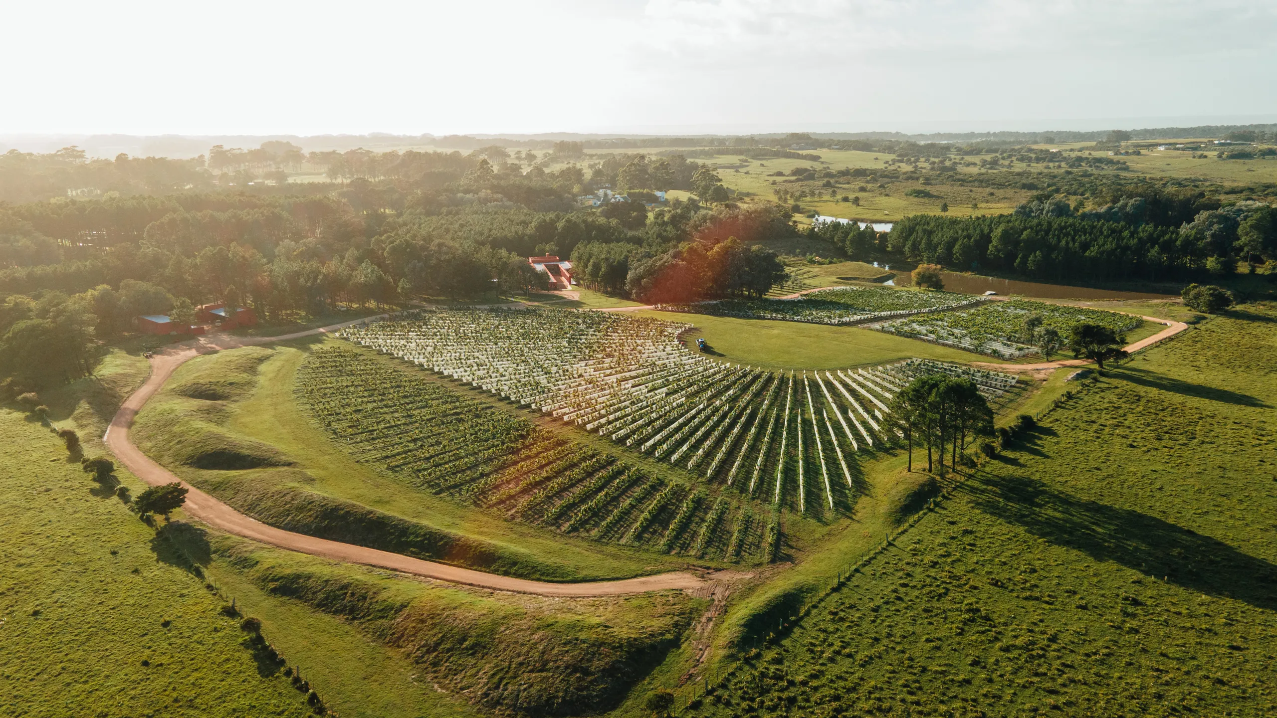 Uruguay_MAG-2024_luz_drone