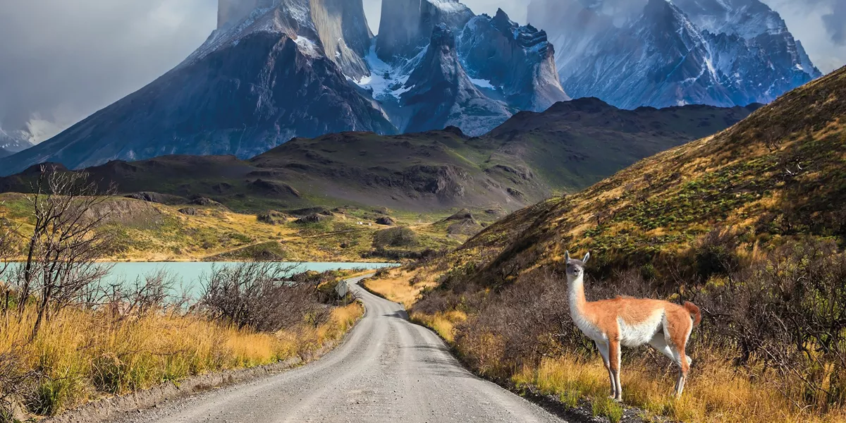 best-chile-atacama-patagonia-guided-tour-16