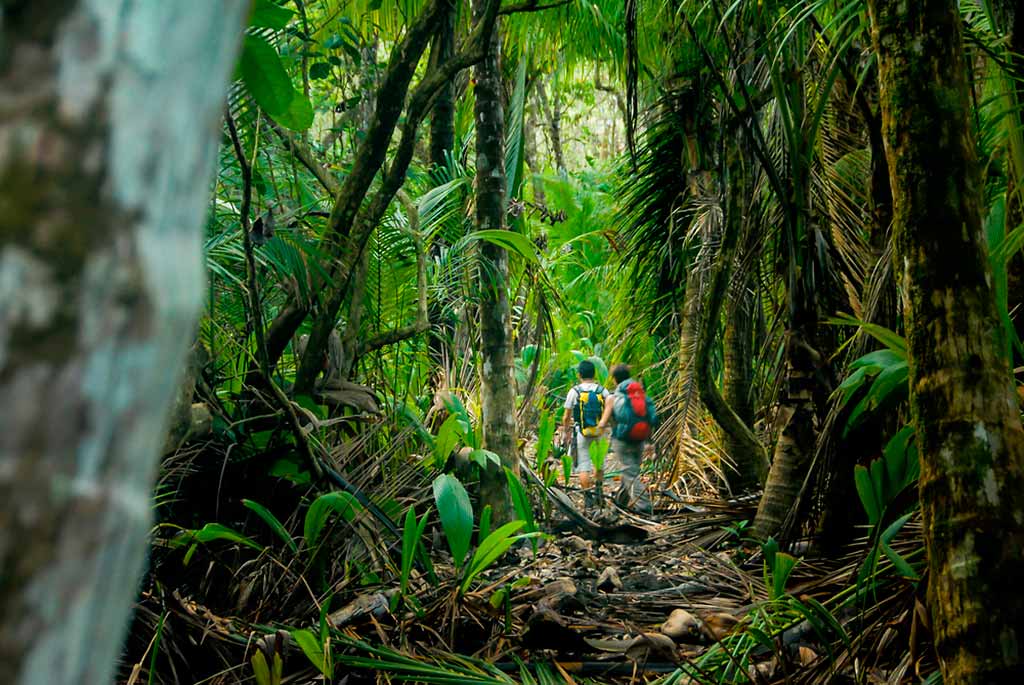 costa-rica-giungla-Corcovado-National-Park