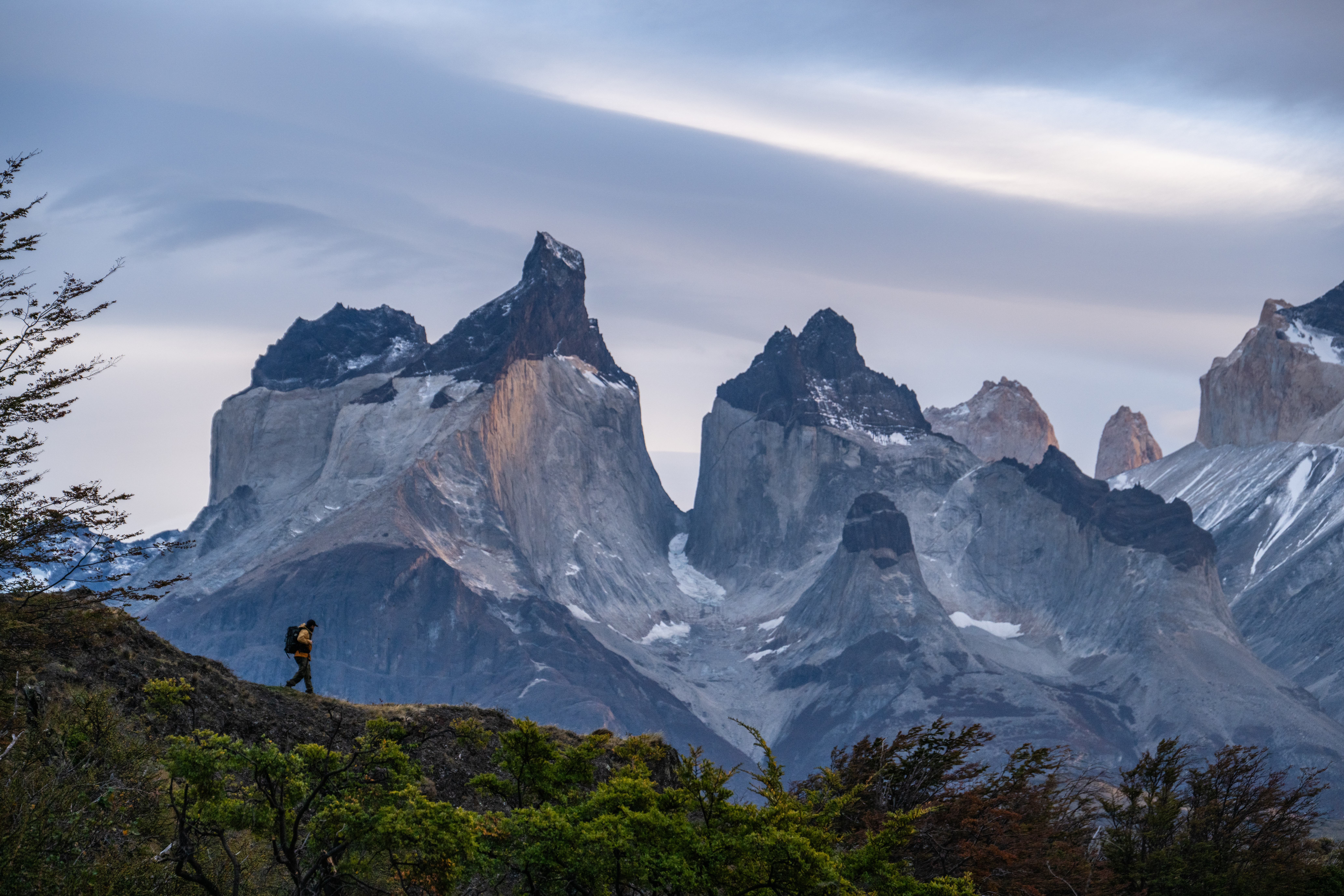 cuernos