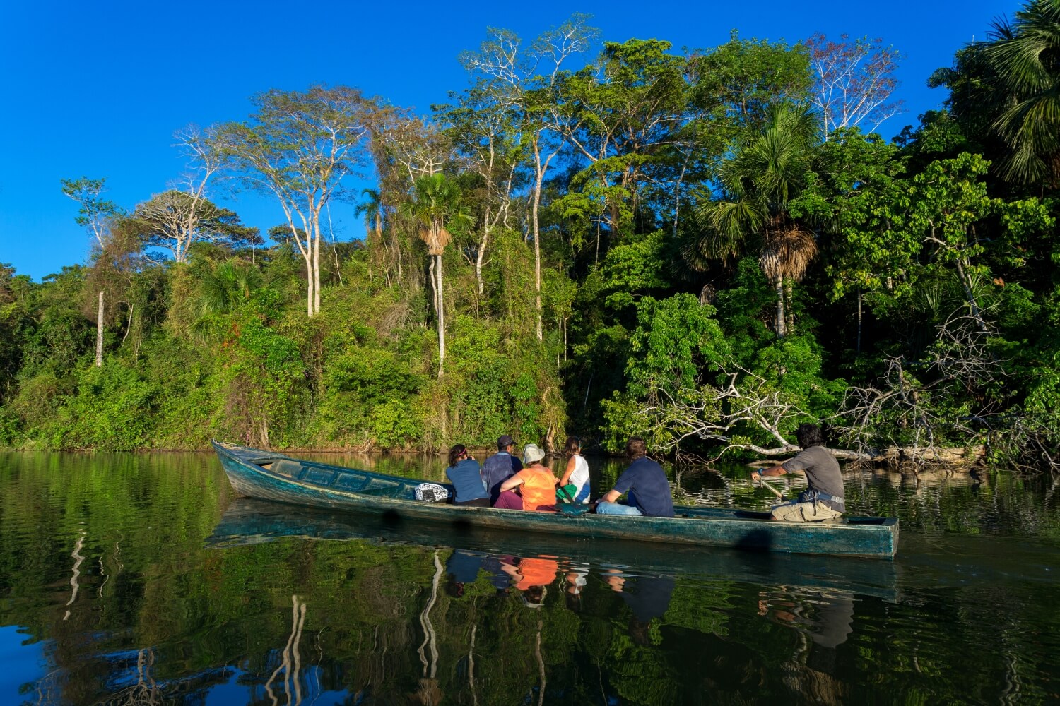 exotic-Peruvian-Amazon-1 (1)