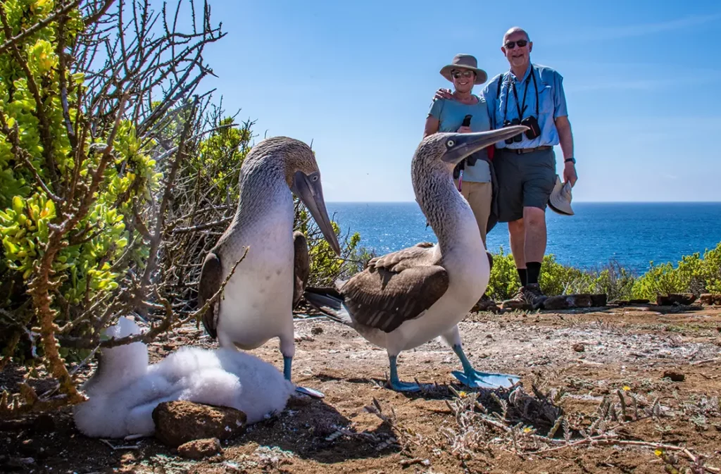 galapagos-blue-footed-yacht-isabela-1024x673