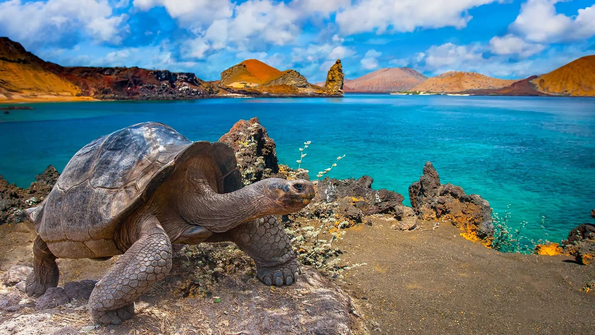 galapagos-islands-ecuador-1 (2)