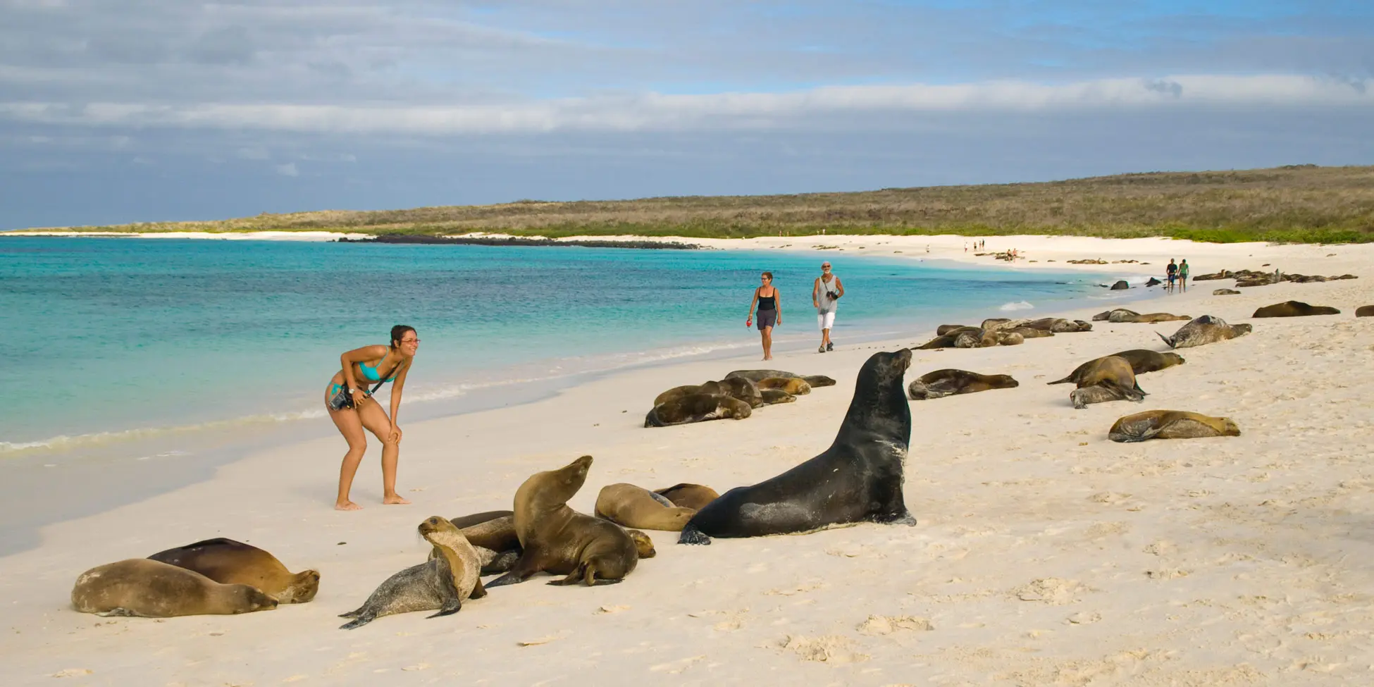 galapagos