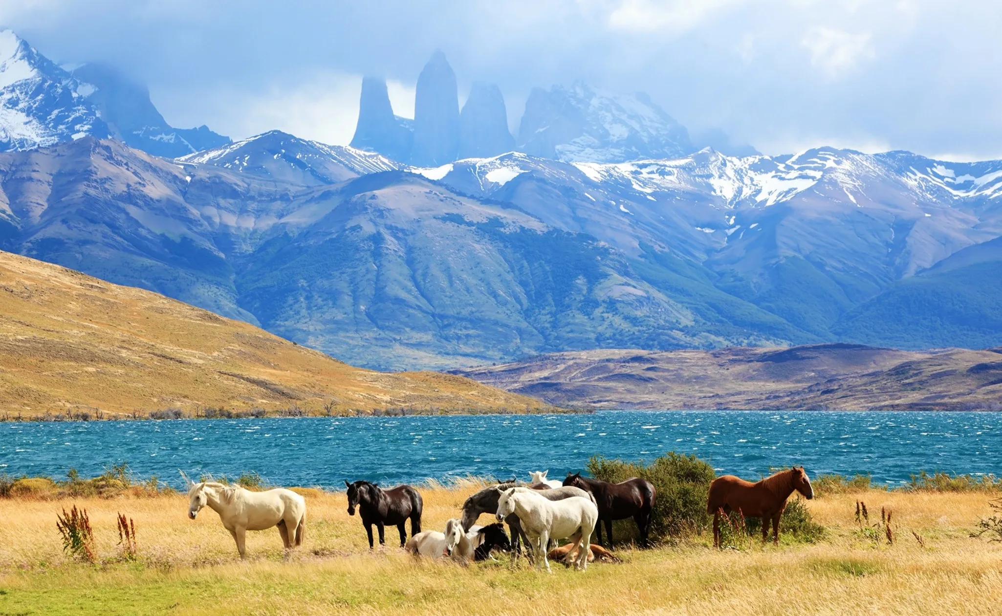 mfLhj1OW-South-American-Andes.-Park-Torres-del-Paine-in-Chile_shutterstock_221190883