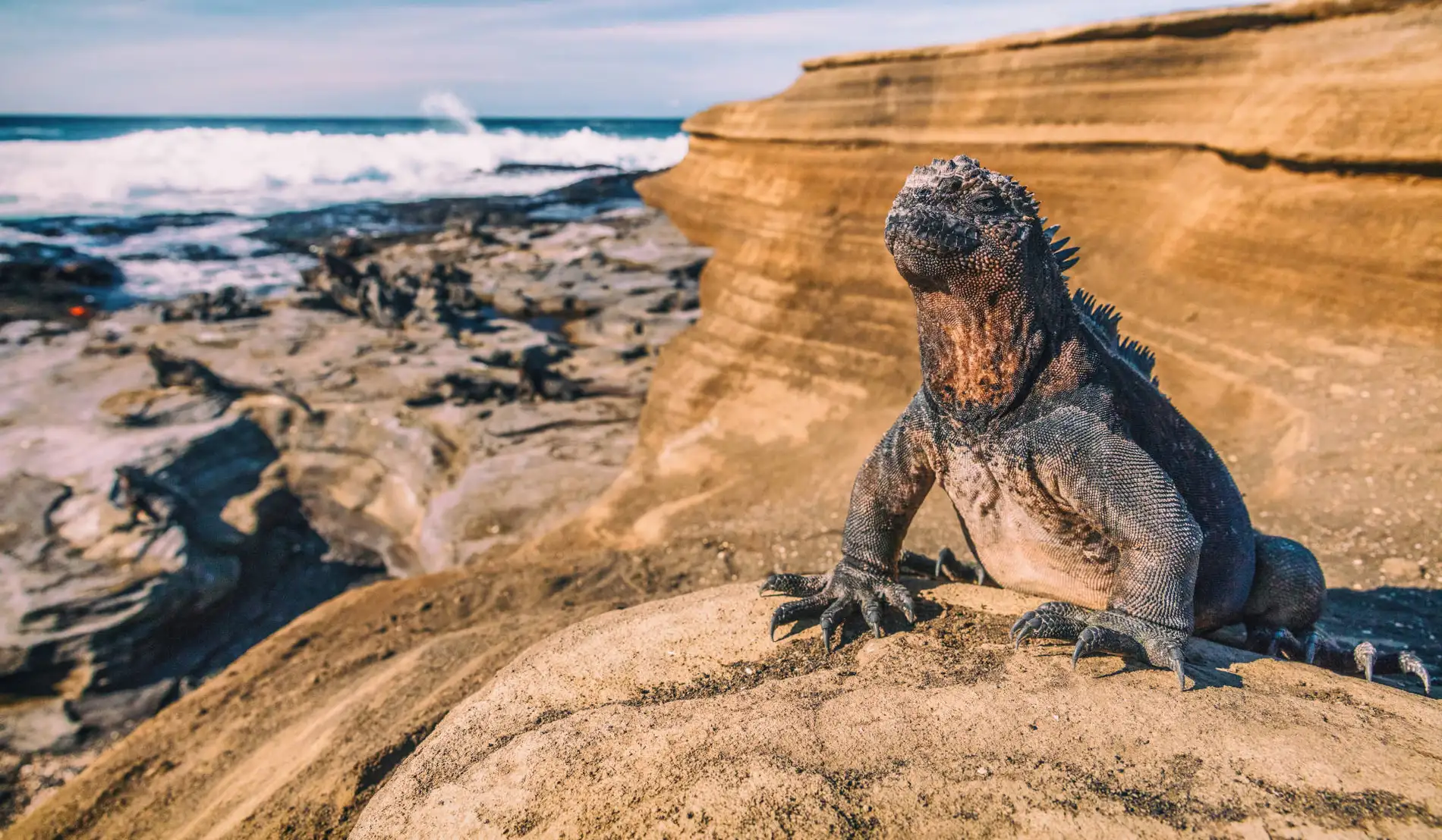 que-ver-islas-galapagos
