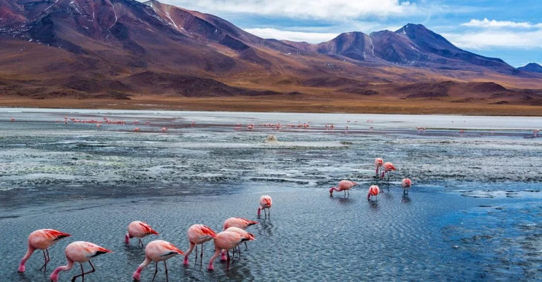 ruta-verde-uyuni-e1484657706544