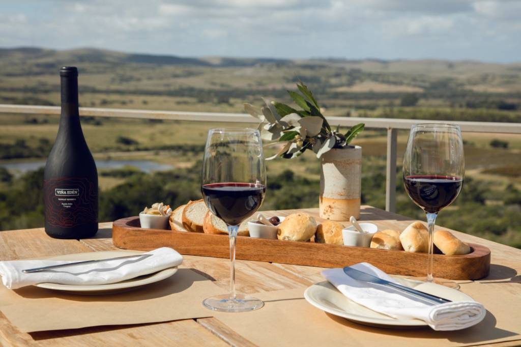 vina_eden_winery_one_of_our_partner_wineries_from_maldonado_region_uruguay_wine_country