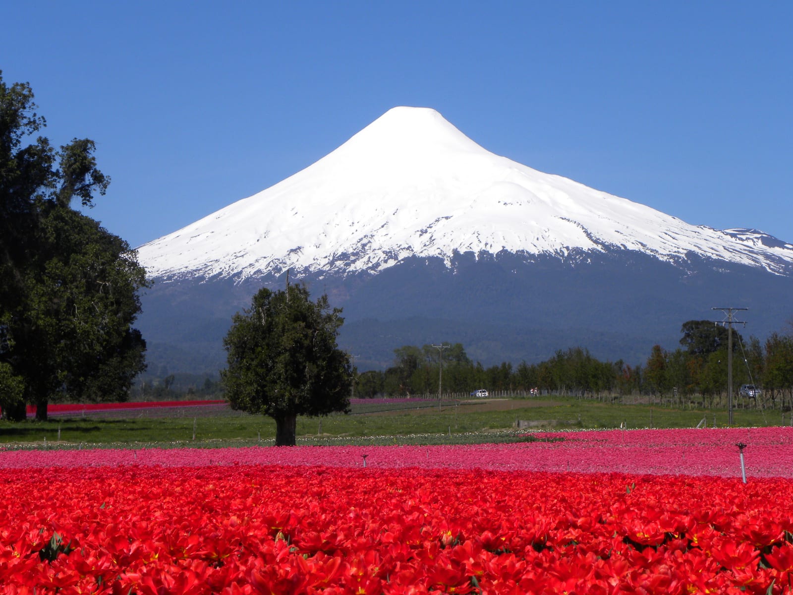 warum-nach-chile